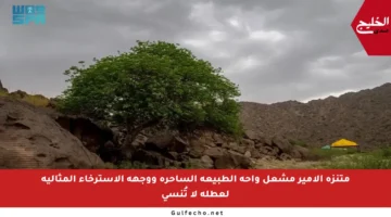 متنزه الأمير مشعل واحة الطبيعة الساحرة ووجهة الاسترخاء المثالية لعطلة لا تُنسى